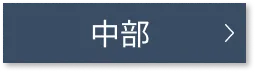 中部