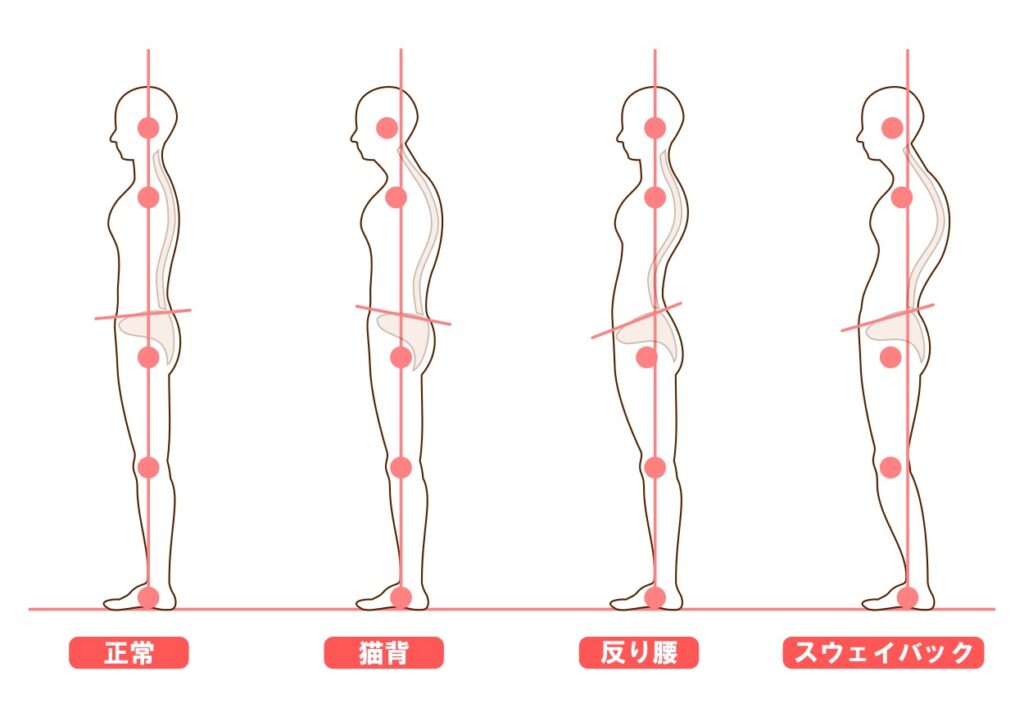 ダイエット 3ヶ月 10キロ 方法