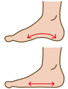 Ｏ脚 足首から曲がっている 原因 対処法