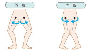 Ｏ脚 足首から曲がっている 原因 対処法