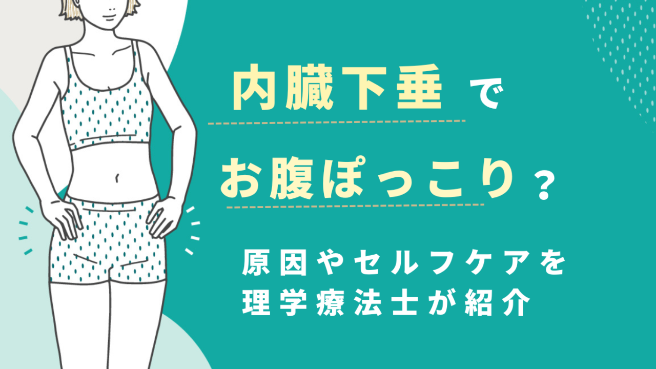 内蔵下垂でお腹ぽっこり？原因やセルフケアを理学療法士が紹介